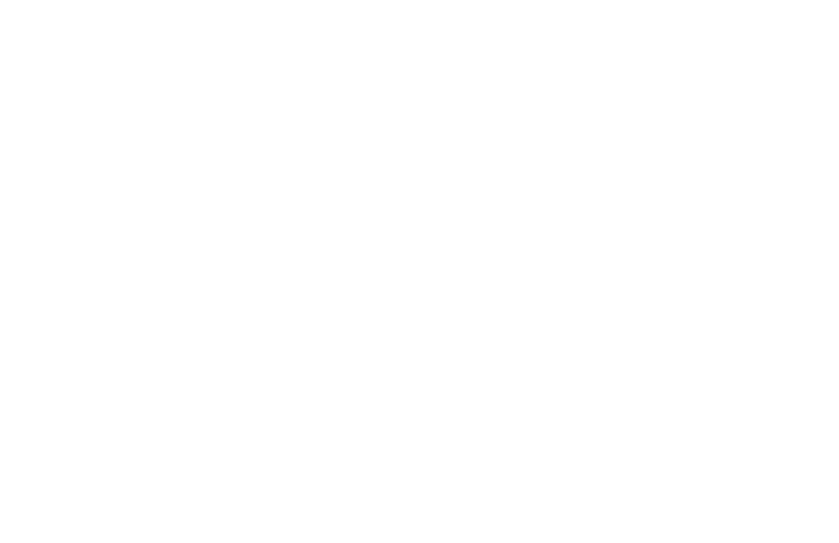 Official Selection — Bradford International Film Festival 2026